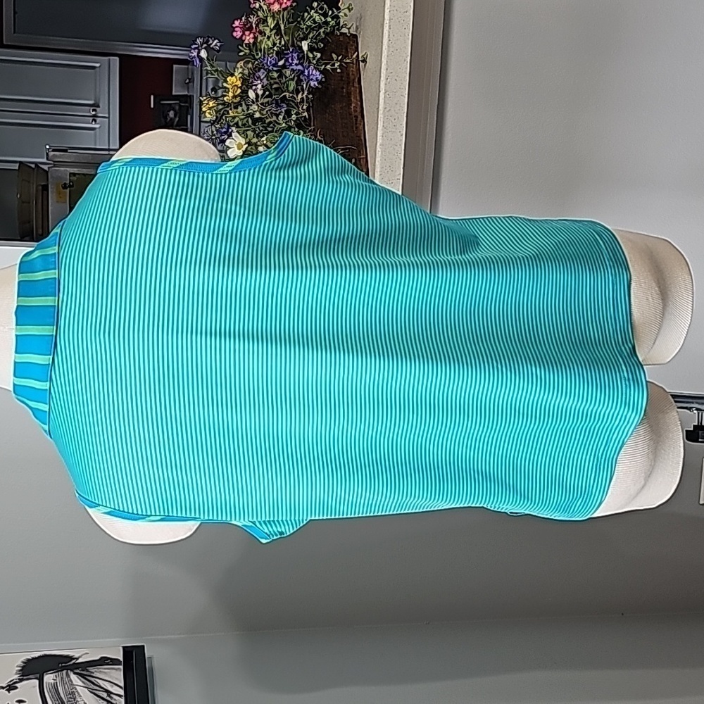 Bette & court pin striped, green/blue golf shirt active wear. V neck. Size XL. - Picture 6 of 10